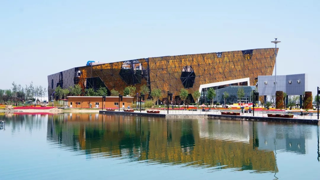 6.webp.jpg 6.webp.jpg